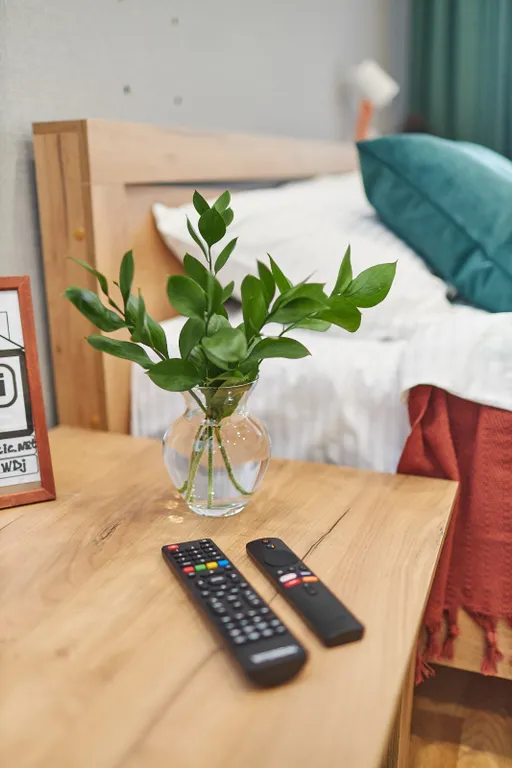 Квартира у Кремля на набережной