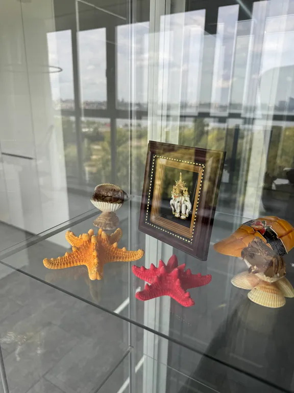 Квартира с панорамным видом на город