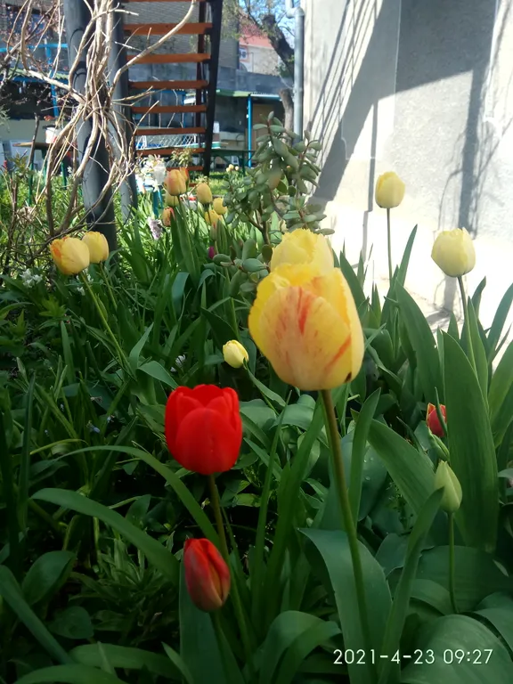 Комната с камином