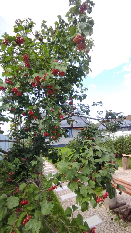 Уютный дом с сауной