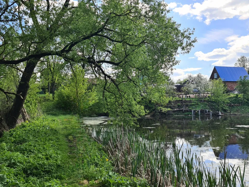 Дом на семи прудах