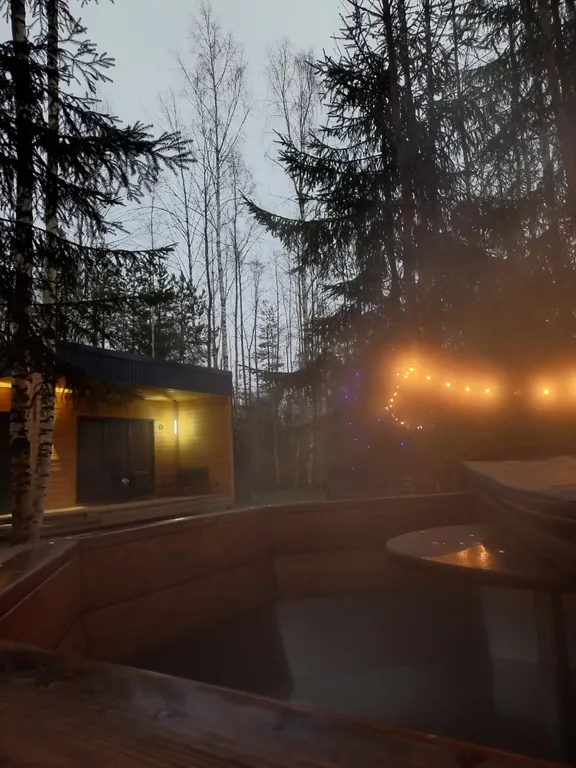 Коттедж Дом Барин Лес — аренда посуточно в Великий Новгород