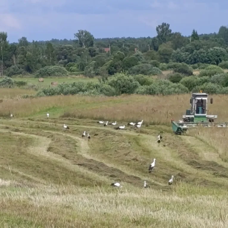 Уютная квартира в 5 минутах ходьбы от озера Сапшо