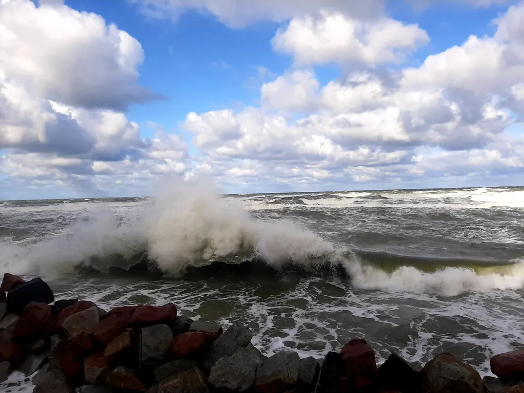 Квартира Квартира Vi&Va у моря — Светлогорск