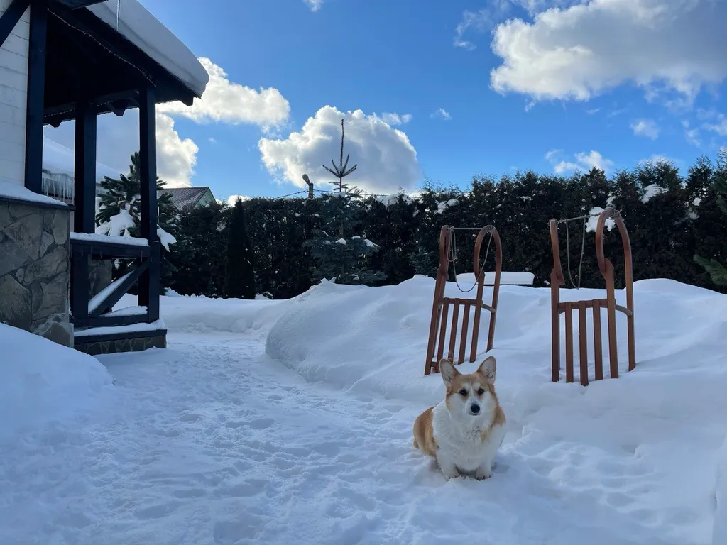 Уютный загородный дом с баней и бассейном