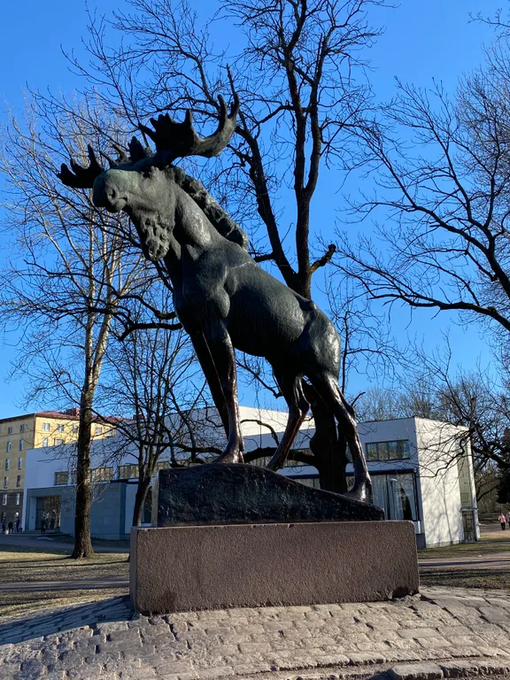 Модерные апартаменты в старом городе
