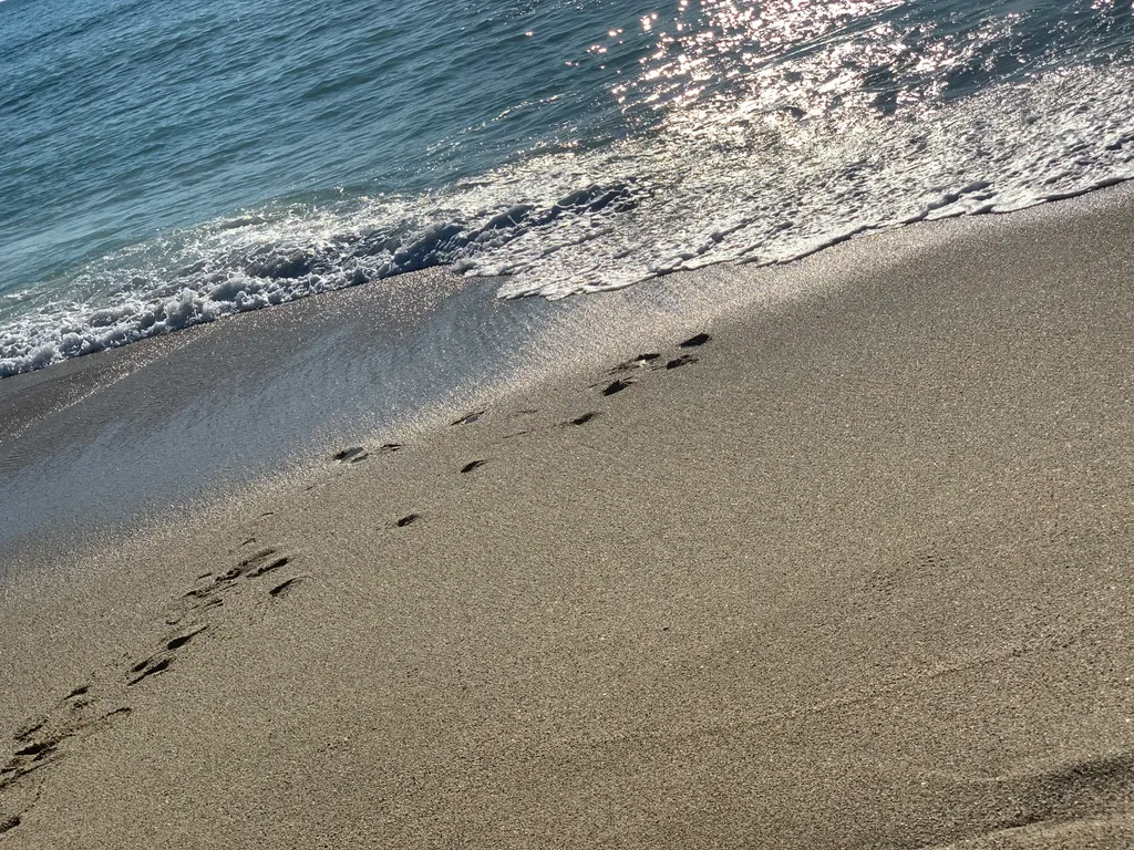 Апартаменты в 100м от пляжа Клеопатра