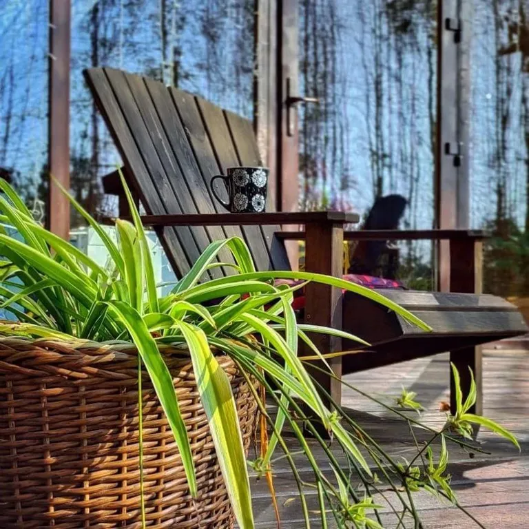 Гостевой домик A-frame в сосновом лесу