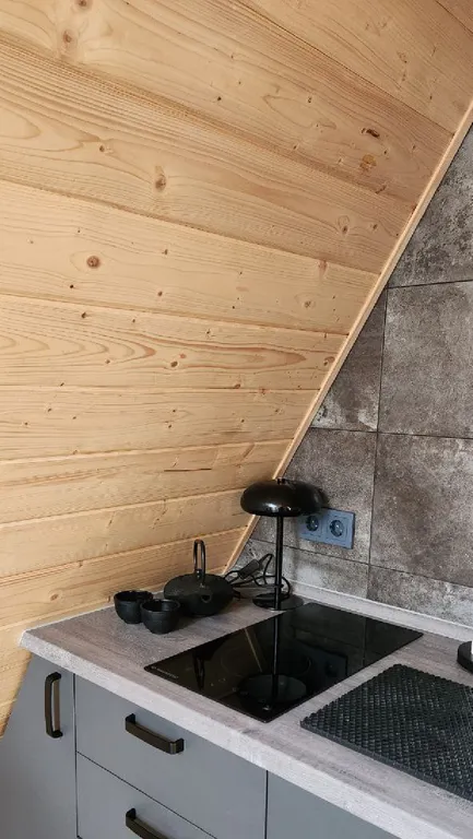 Треугольный дом в 25км от Минска с баней и горячей купелью в лесу