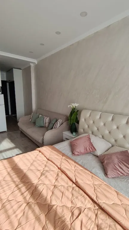 Квартира Уютная квартира-студия у моря для идеального отдыха круглый год — Батуми