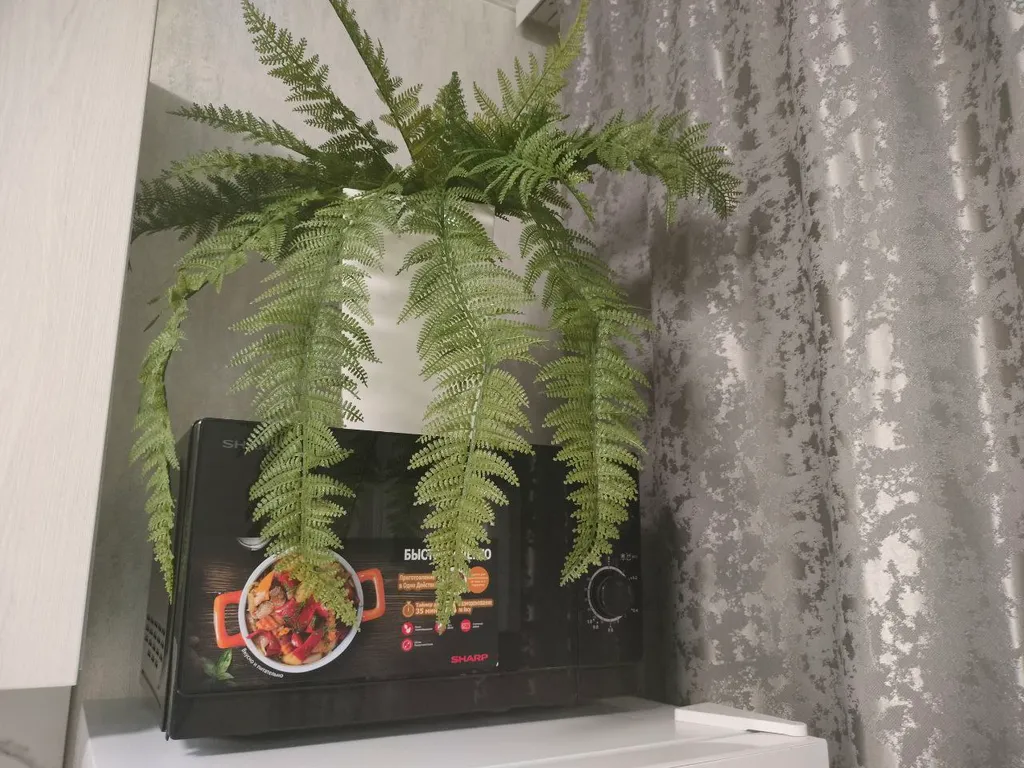 Роскошная квартира рядом с парком