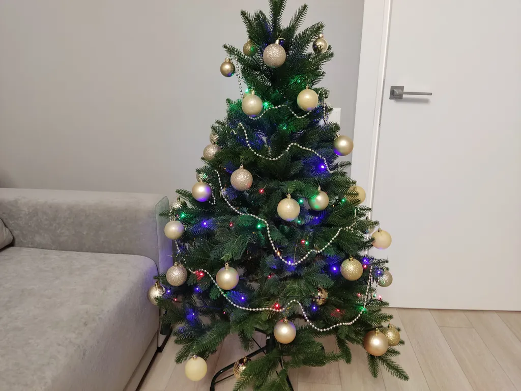 Квартира 1-комнатная квартира в сердце Ярославля — Ярославль