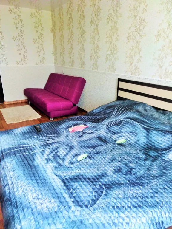 Квартира 1-комнатная Квартира — Красноярск