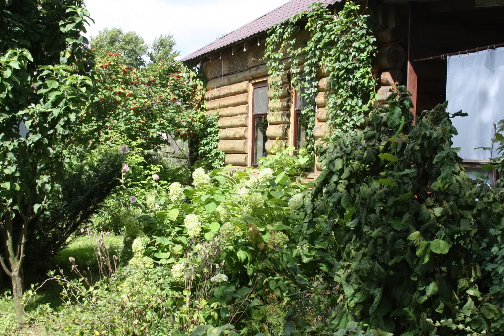 Дом с русской баней внутри.