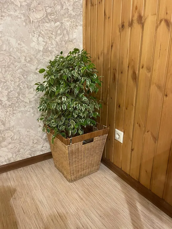 Коттедж Уютный дом в отличном местоположении — Новосибирск