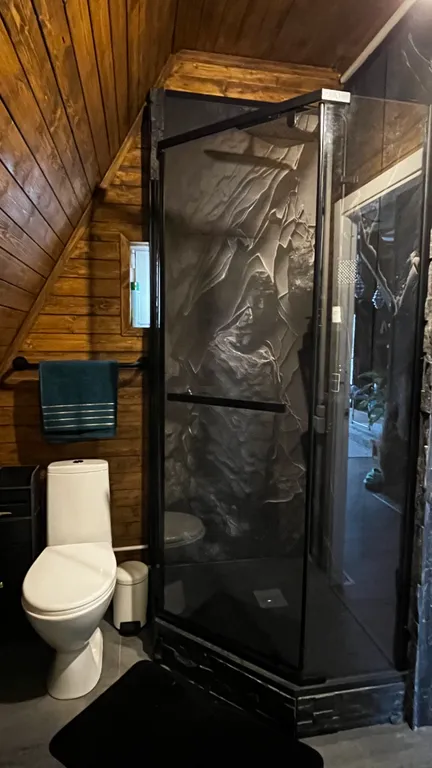 З-комнатный дом У Озера в лесу