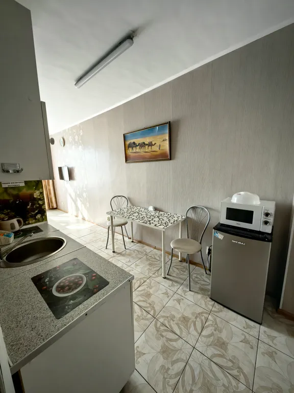 Квартира 1-комнатная Квартира — Пушкин