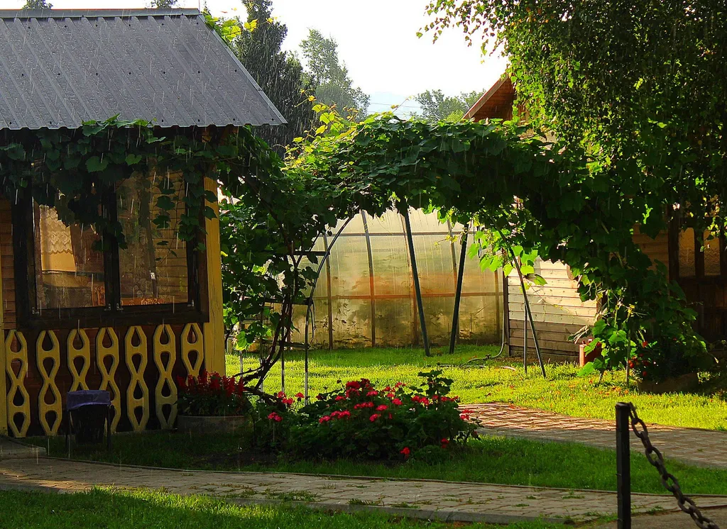 Кедровый дом для комфортного отдыха