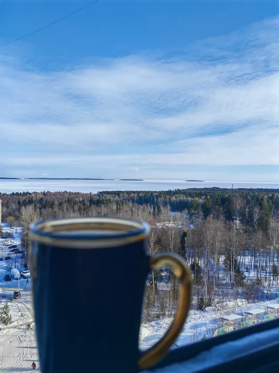 Уютная квартира в спокойном районе с видом на озеро — аренда посуточно в Петрозаводск