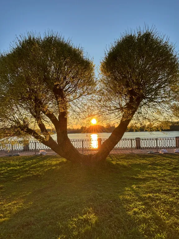 Уютная квартира в тихом районе города
