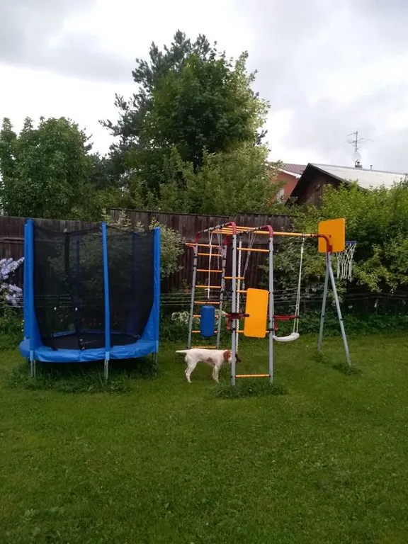 Уютный домик в деревне