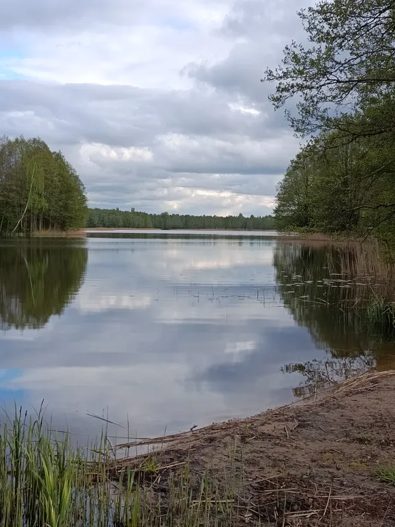 Домик на браславских озерах
