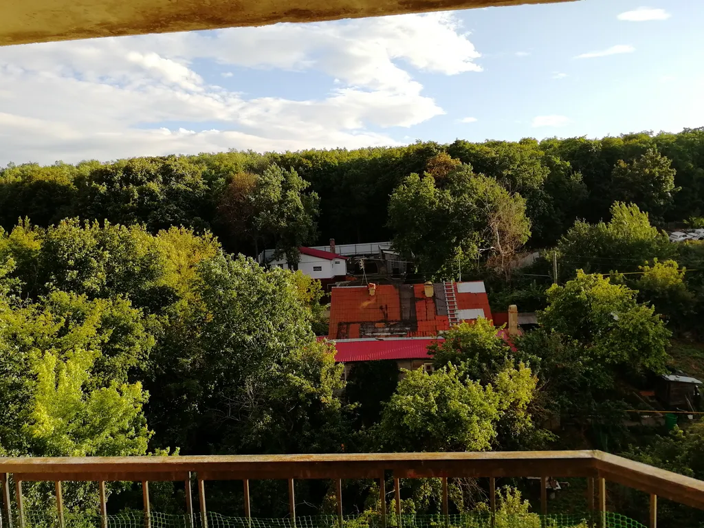 Квартира у леса