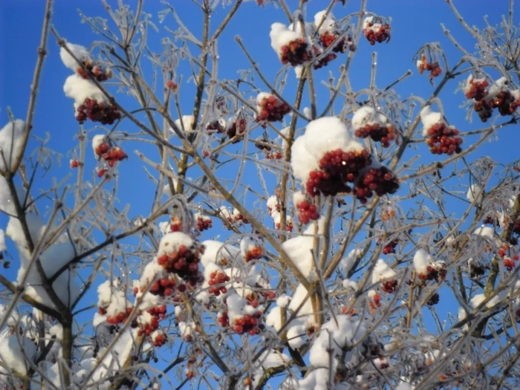 Эко дом в лесу