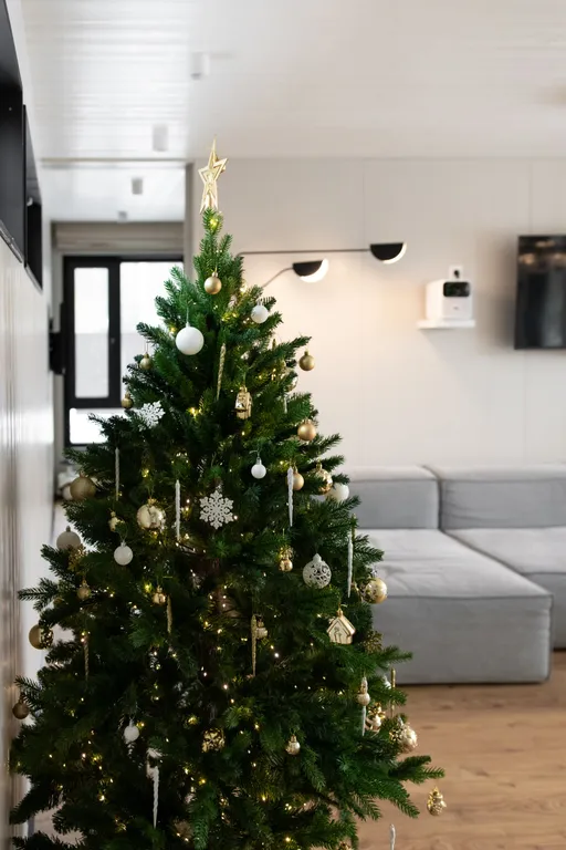 Умный дом с сауной и купелью