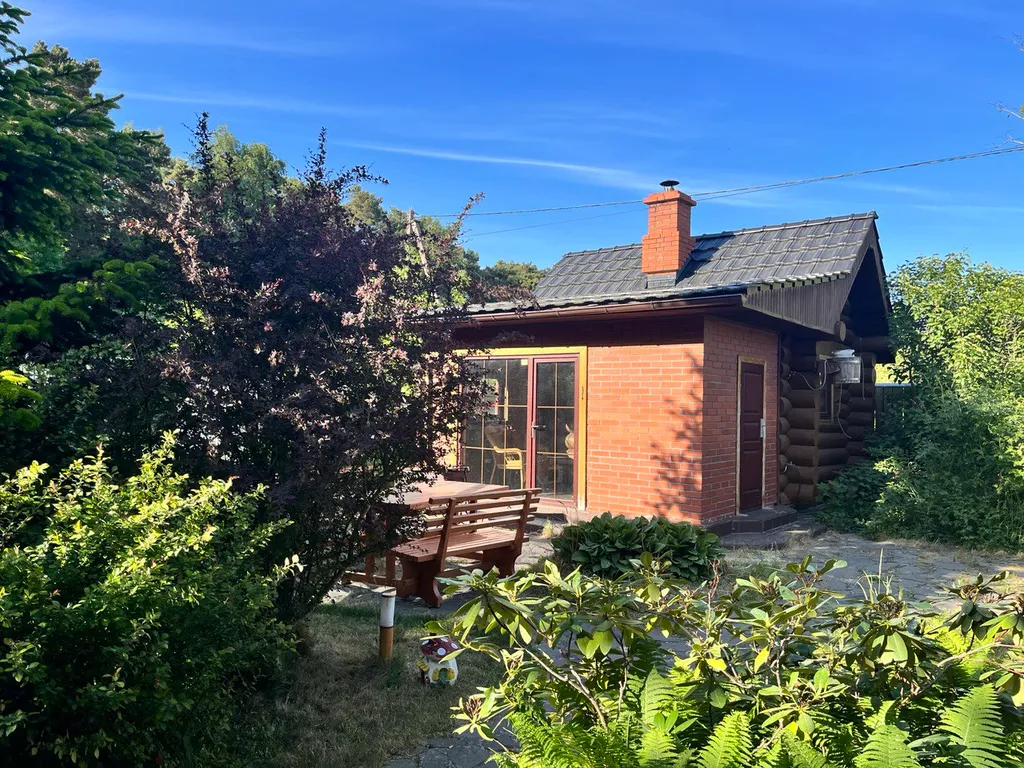 Уютный дом на побережье, на опушке соснового бора