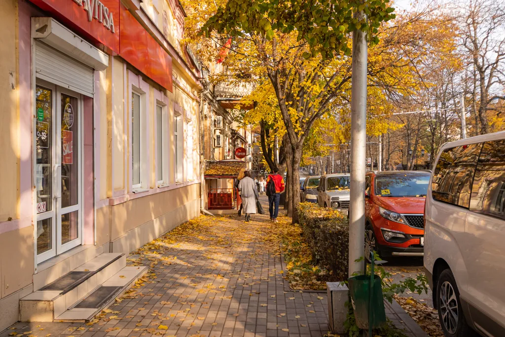 Удача на Кирова - Каштановый бульвар