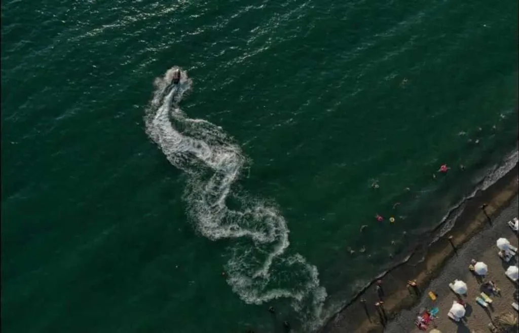 Дом на территории Дендропарка