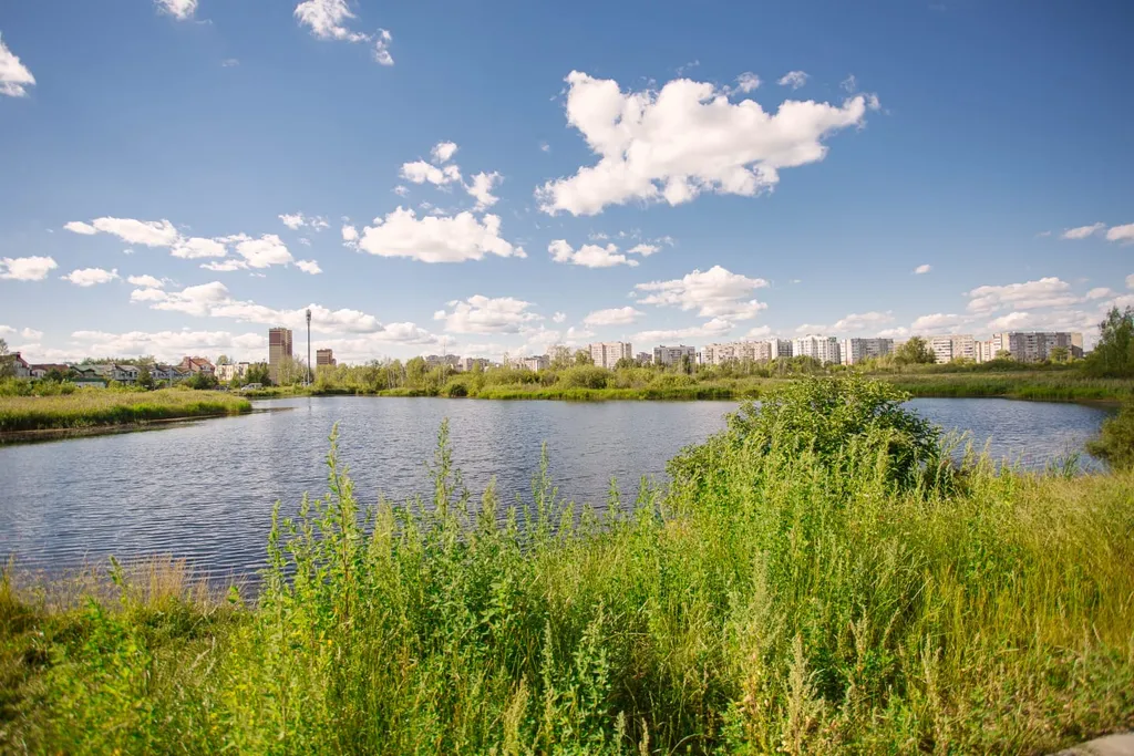 Уютная квартира в экологически чистом районе, рядом с Шикарным озером