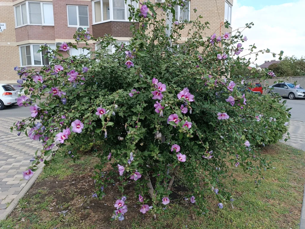 Просторная квартира