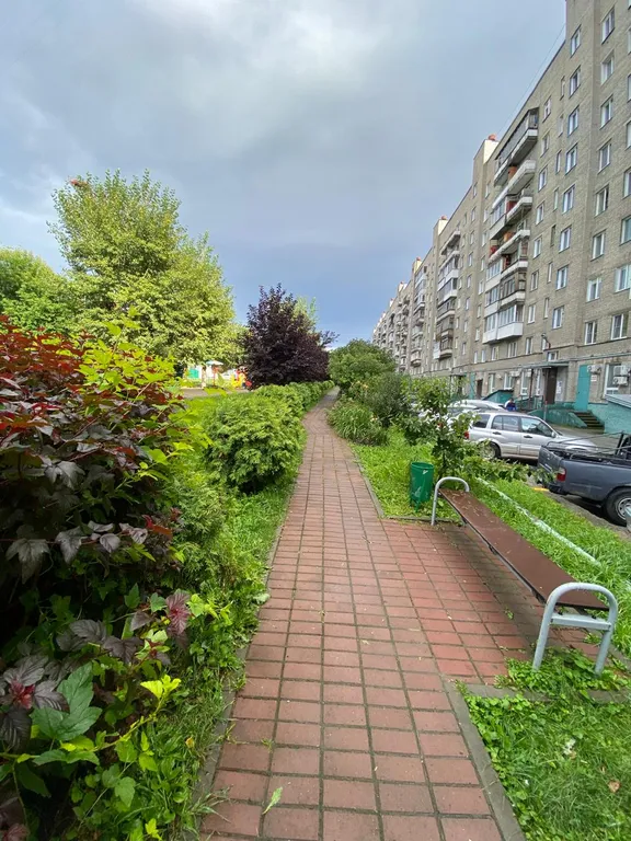 Квартира 1 комнатная Элитная квартира в Центре города — Новосибирск