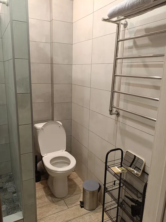 Уютная студия на Плотинной