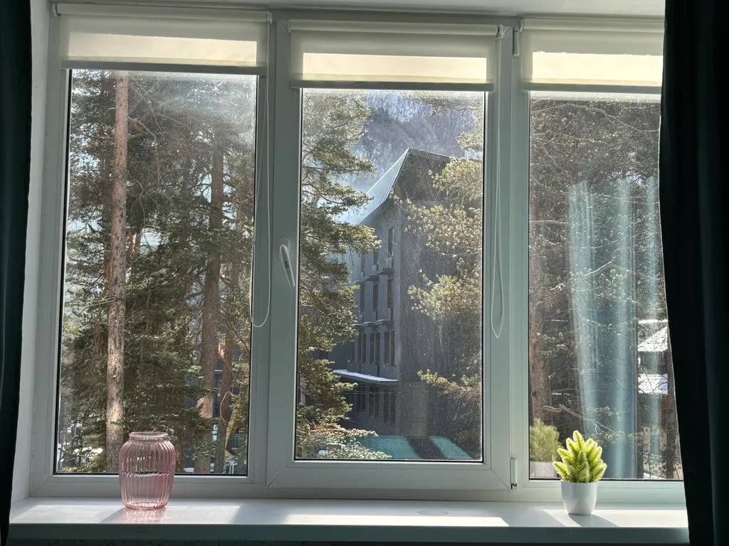 Квартира с видом на лес и горы