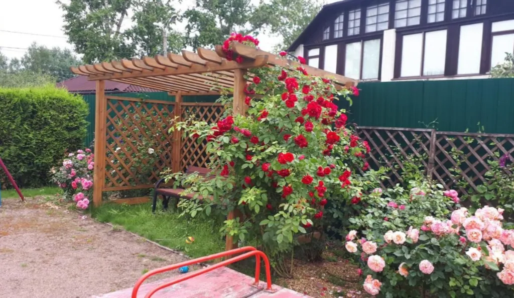 Коттедж Уютный дом с площадкой для барбекю — Санкт-Петербург