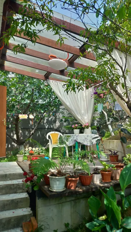 Коттедж Отдельный домик со своей верандой — Сочи