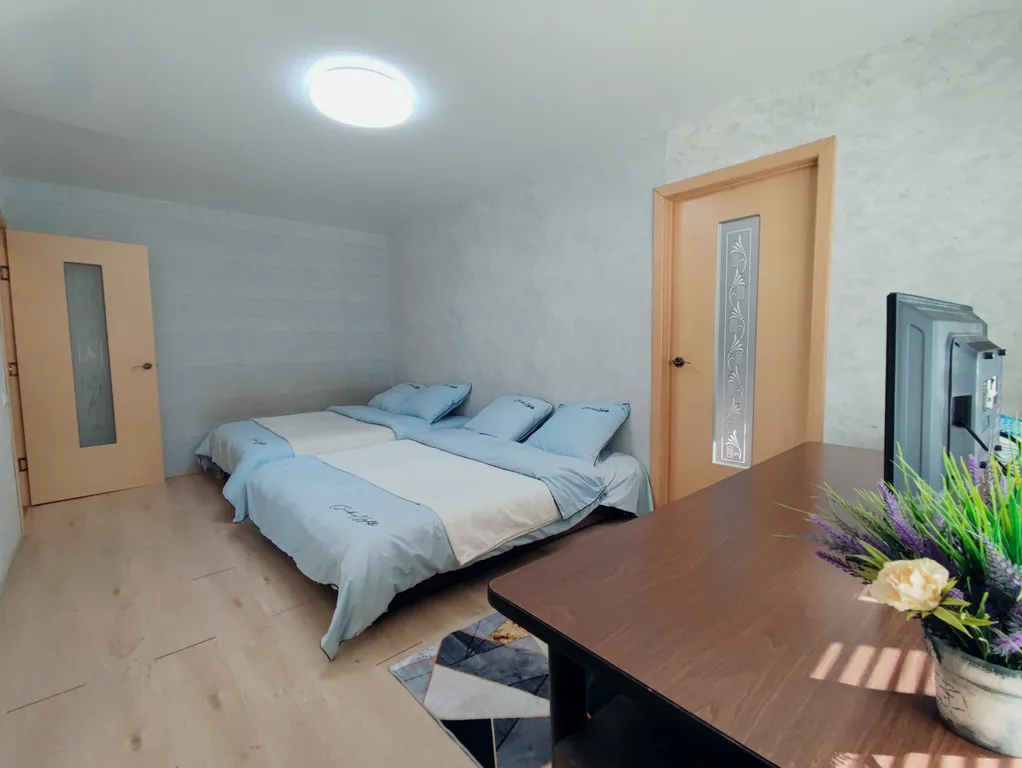 Апартаменты Карла Маркса 20, 1 этаж