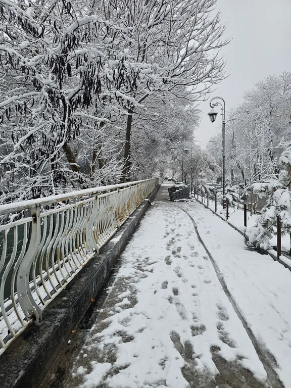 Теплые и уютные апартаменты недалеко от Magic City