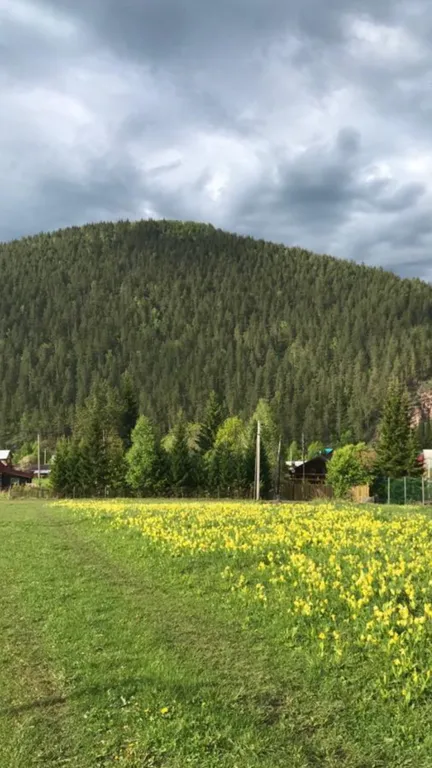 Дом в горах. Инзер