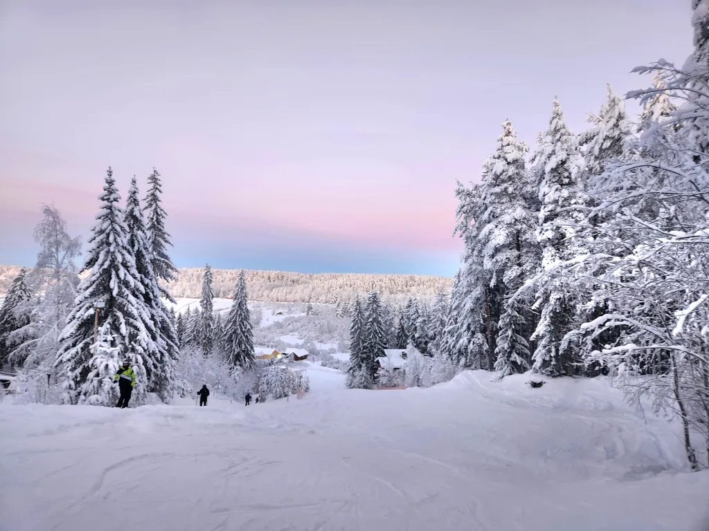 Белка дом с камином и сауной