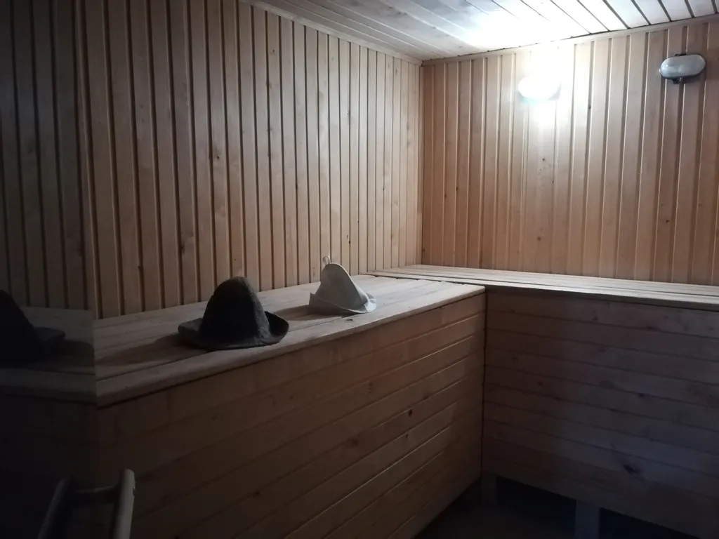 Дом с баней, бильярдом и бассейном