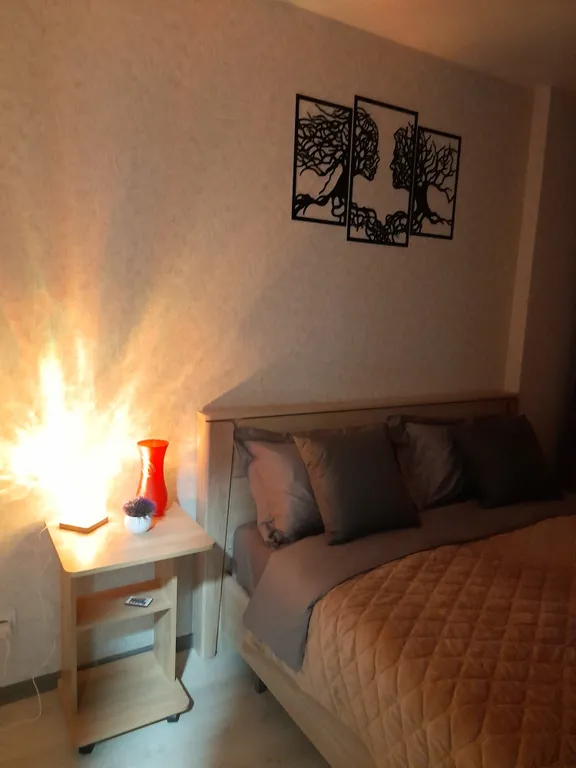 Однокомнатная квартира в центре города