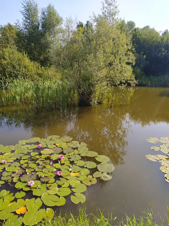 Просторный дом