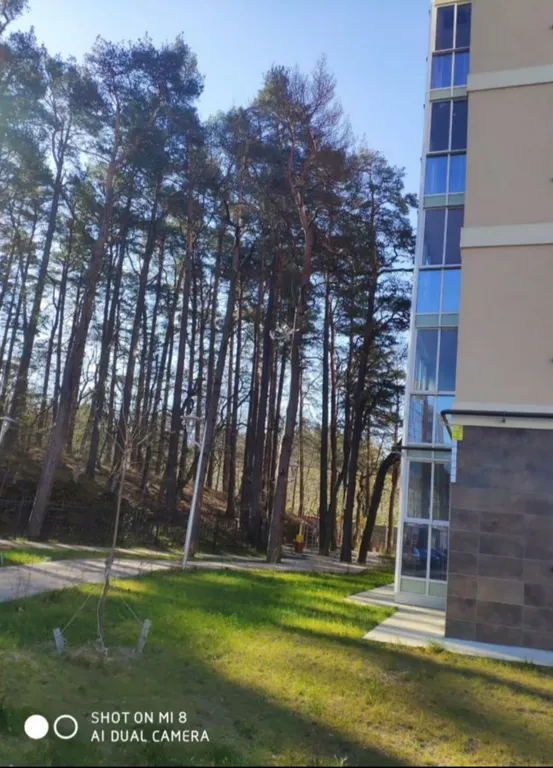 Апартаменты Pinery