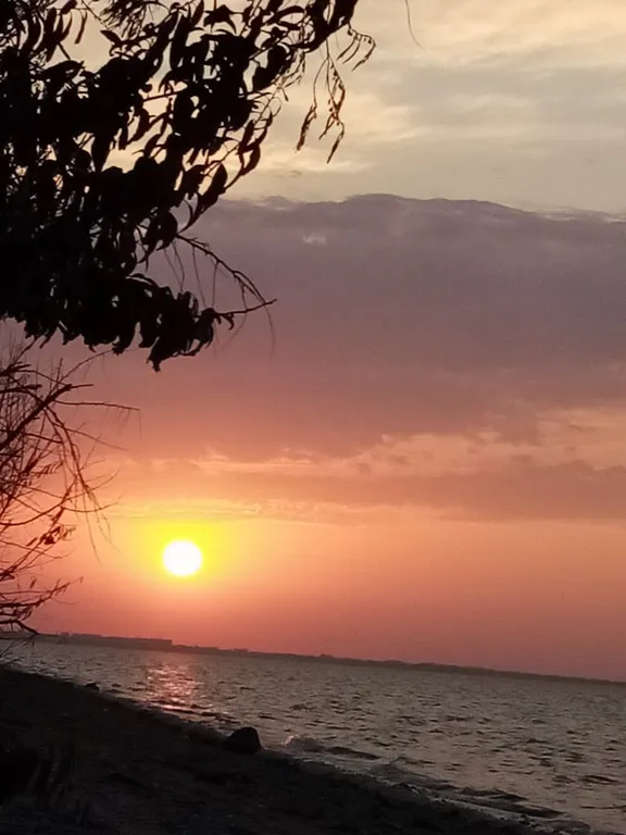 Квартира Прекрасное место для отдыха — аренда посуточно в Ейск