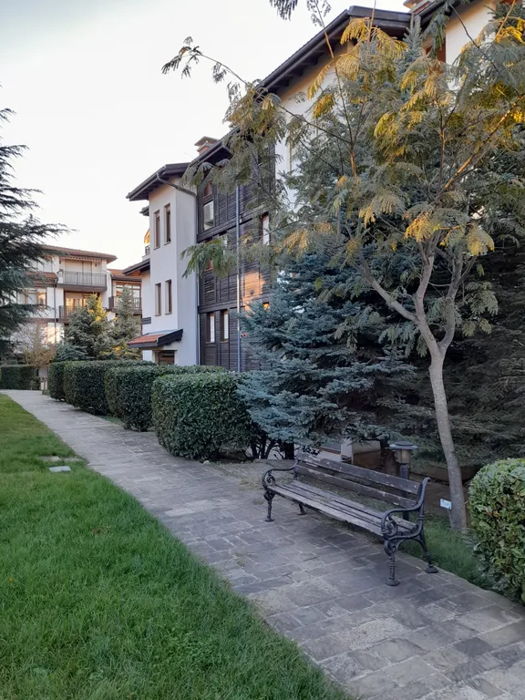 Трехкомнатный люкс в соснах у моря в Санта Марина