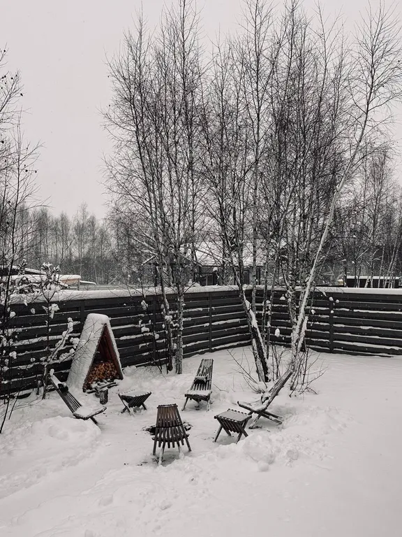 Уютный барнхаус в скандинавском стиле у горнолыжного курорта Сорочаны